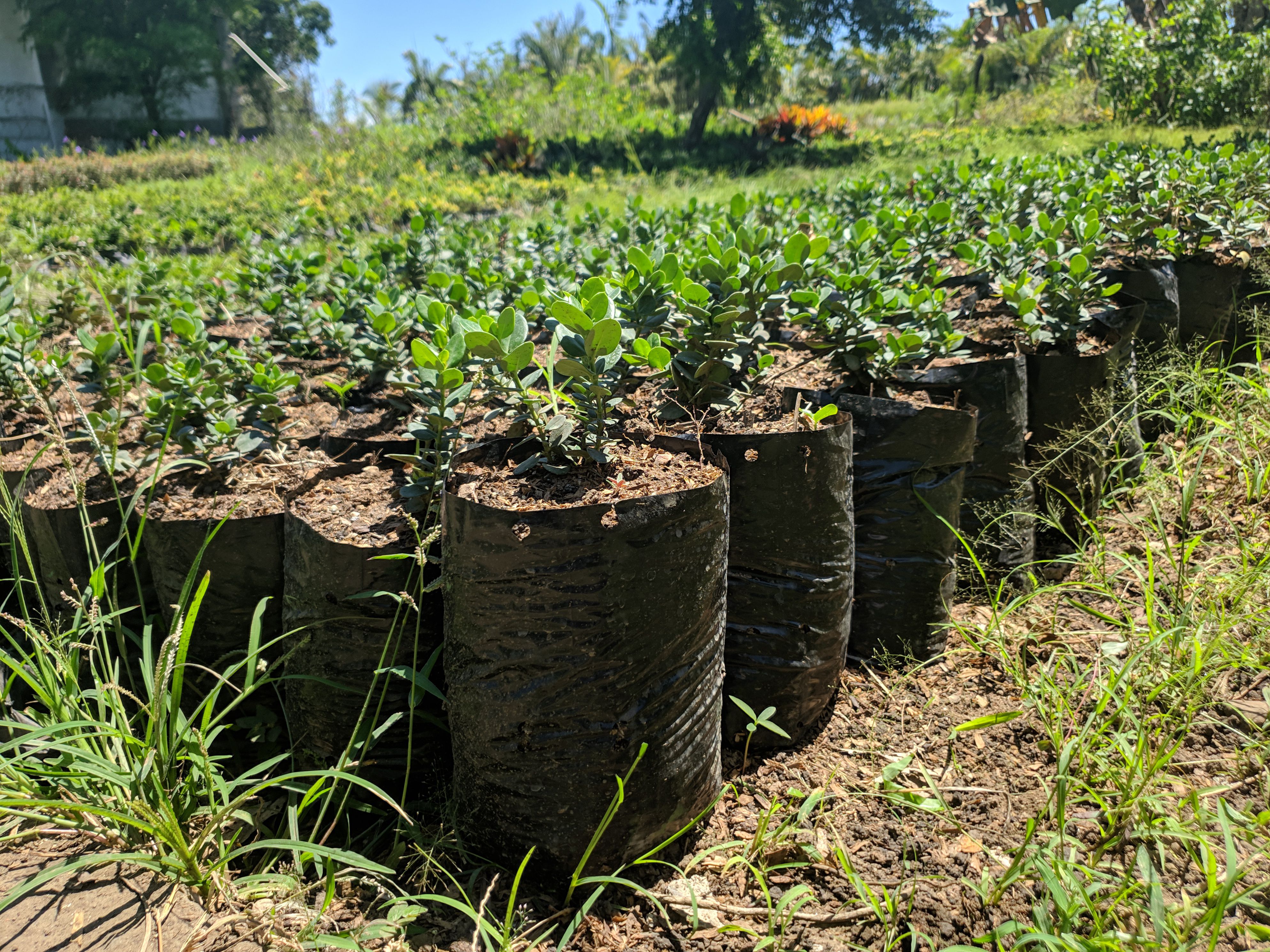 Odoo - Prueba 3 a tres columnas